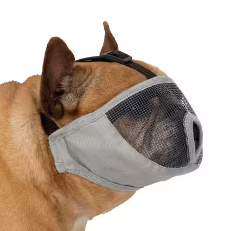 Trixie mundkurv til kortsnudede hunde - Close up billede