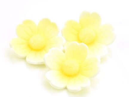 Sugar flowers white-yellow