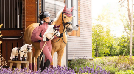 Lemieux hobby horse kæpheste