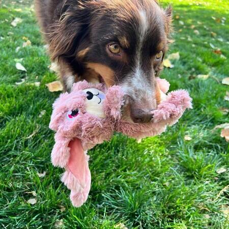 Kong Scrumplez Bunny - M