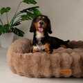Scruffs Alpine hundeseng