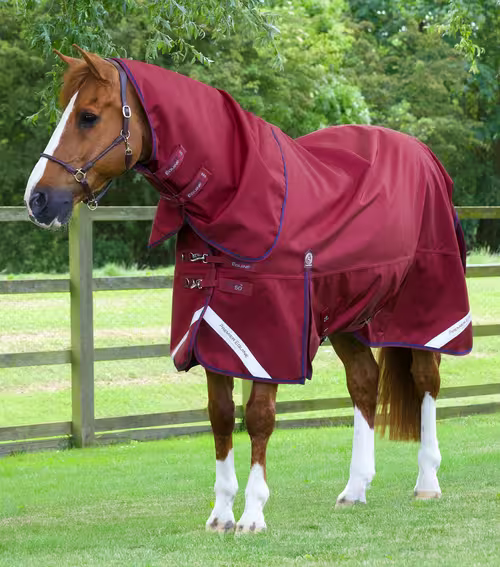 Premier Equine Titan 50g med Classic hals - Burgundy, 6,3" - (140cm)
