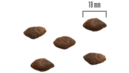 PrimaDog adult all breed kornfri vildtkød & kalkun