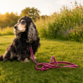 Walk'it Anti-slip Sporline med håndtag Pink