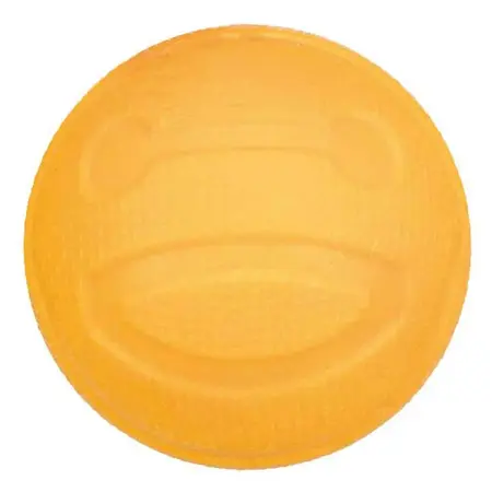 Trixie Aqua Hunde Bold til lege i vand og på land