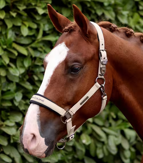 Premier Equine Duco grime sæt