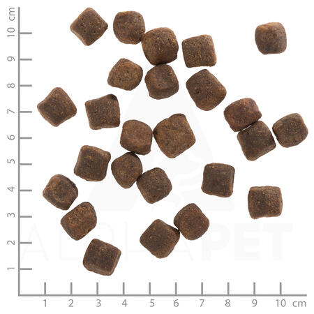 Wolfsblut Dark Forrest Wild Adult Large - 12,5kg