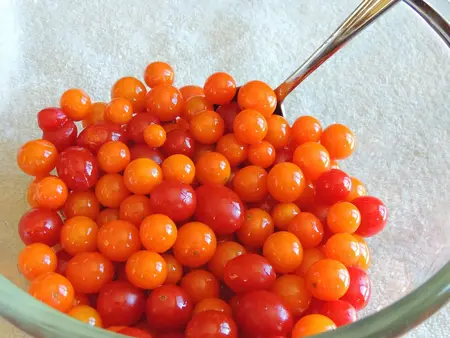 Tomat, busktomat, Tiny Tim