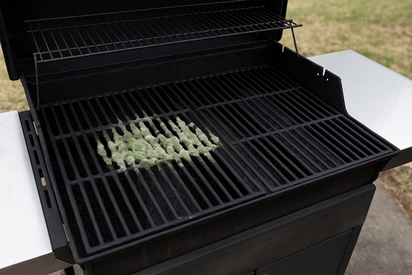 Billedet viser en grill hvor muggen har fået lov at gro over vinteren.