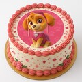 Cake print Paw Patrol Ø19 cm with text - edible sugar print from Mister Kage