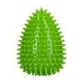 Dog Comets Cosmic Egg -L