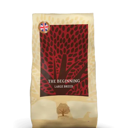 ESSENTIAL the BEGINNING  LARGE BREED 10 KG tørfoder til hvalpe som bliver over 15 kg