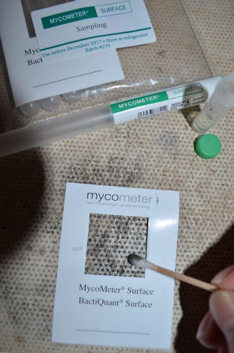 Mycometer skimmelsvamp test med rapport (Forsikringsgodkendt)