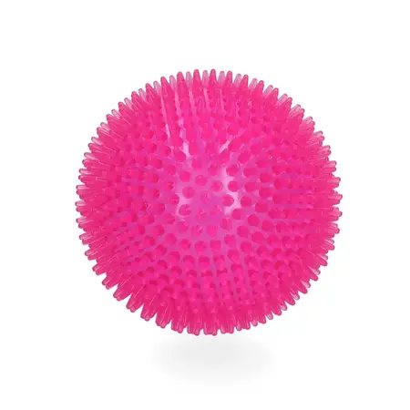 Dog Comets Exoplanet Spiky Bold med Piv - L, pink
