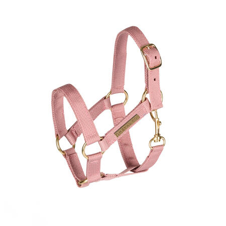 Cheval Roi grime til kæphest i lyserød Antique Rose