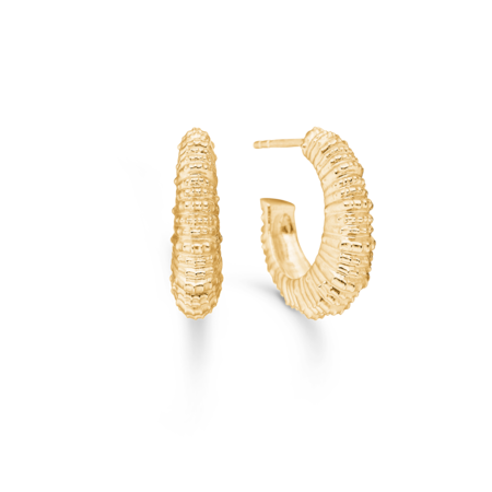Seashell Secrets hoops udført i 925 ren sterlingsølv belagt med en slidstærk forgyldning i 18 karat guld.