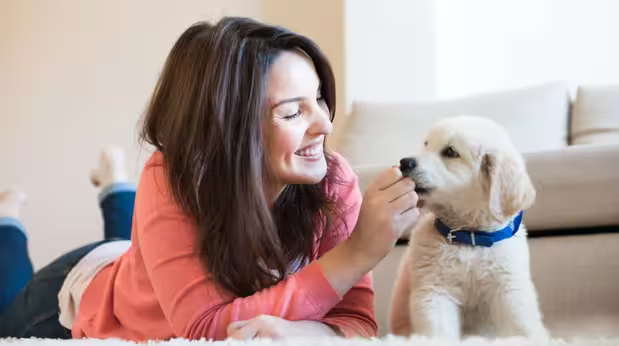 Hvad skal min hvalp hedde: Dame leger med sin nye hvalp imens hun tænker, hvad hvalpen skal hedde.