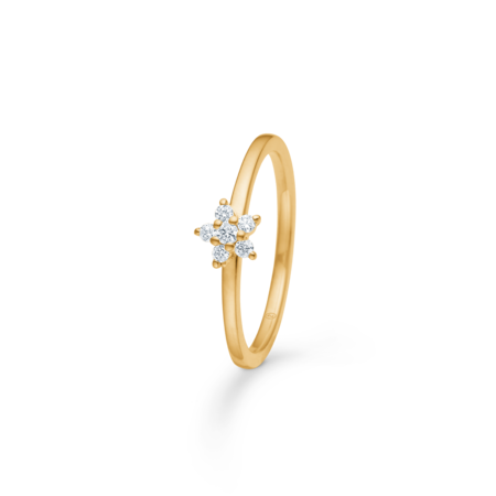Céleste ring i 14 karat guld