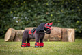 LeMieux Mini Toy Pony Freya med sadel, hovedtøj og udstyr i Chilli, sød heste bamse til hesteglade børn.