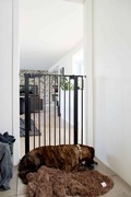 Dogspace Bonnie extra tall presure fitted pet gate - sort