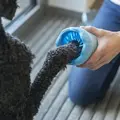 Hunde afprøver en Trixie Paw Cleaner | MyTrendyDog.dk