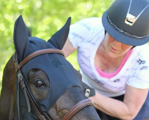 Se Fenwick Equestrian Liquid Titanium® maske med lydreducerende ører - L - Karabinhage lukning hos Travshoppen.dk