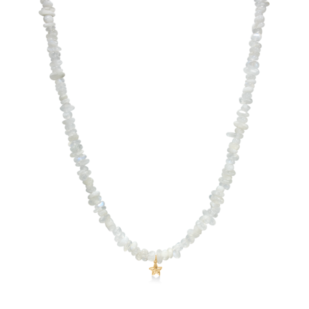 Starfish Lustre stenhalskæde udført i 925 ren sterlingsølv med 18 karat forgyldning.