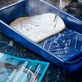 Animalintex® antiseptisk varmt omslag til behandling af hest og hund