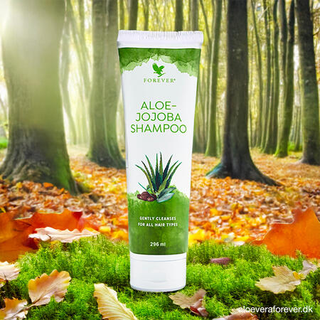 Aloe-Jojoba Shampoo