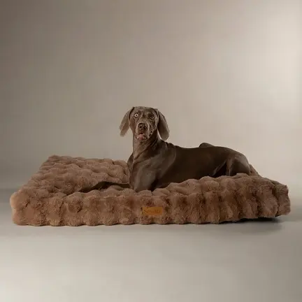 Scruffs Alpine pude - Taupe
