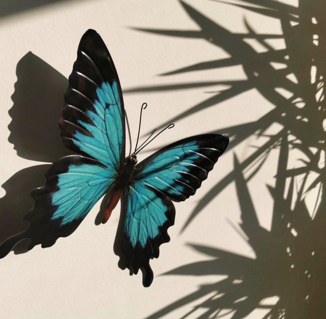 Væghængte sommerfugle