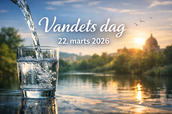 Viser et glas lækker drikkevand ved floden ved solnedgang