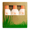 Trip med 3 stk. Forever Aloe Peaches Aloe vera juice drik