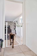 Dogspace Bonnie extra tall presure fitted pet gate - hvid