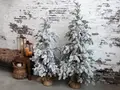 Chic Antique, Grantræ med sne, 150 cm.