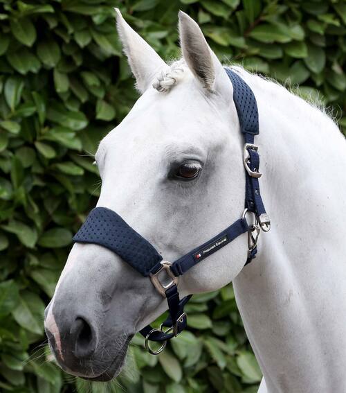 Premier Equine Necto 3D Mesh grime sæt - Navy, Pony