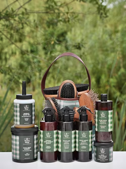 Pretty Pony PONY CARE All Deluxe sæt