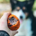 Non-stop Dogwear Dog Throw Toy fyldt med foder som aktiveringslegetøj til hund