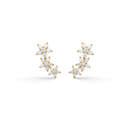 Céleste earrings in 14-carat gold