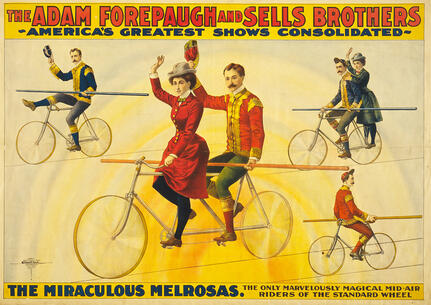 fotomester circus