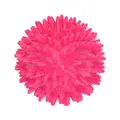 Dog Comets Cosmic Egg - M