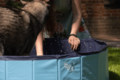 CoolPets Pool 100x25cm
