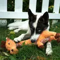 Hund med Kong Shakers Luvs Giraffe