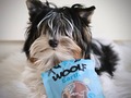 WOOLF Earth noohide tuna