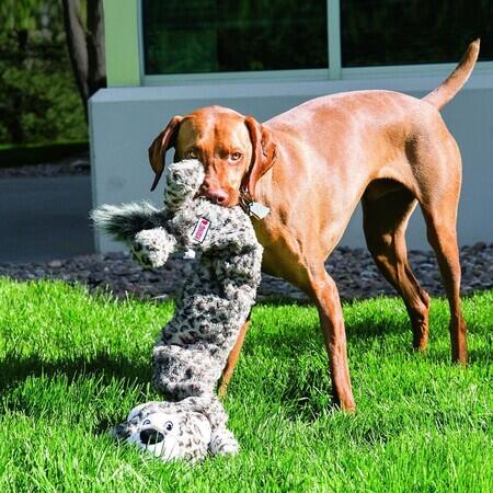 Hund med Kong Strechezz Jumbo Snow Leopard