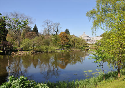 fotomester.dk fotomester botanisk natur landskab sø