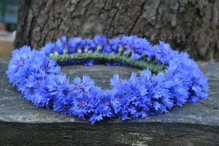 Kornblomst blue Ball