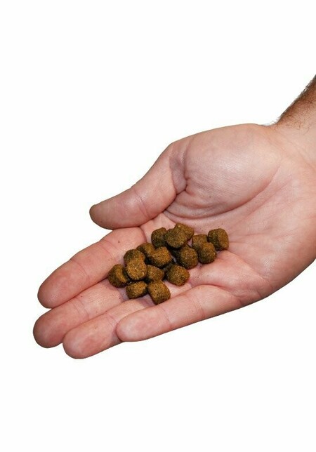 Hike Original Aktiv hundefoder