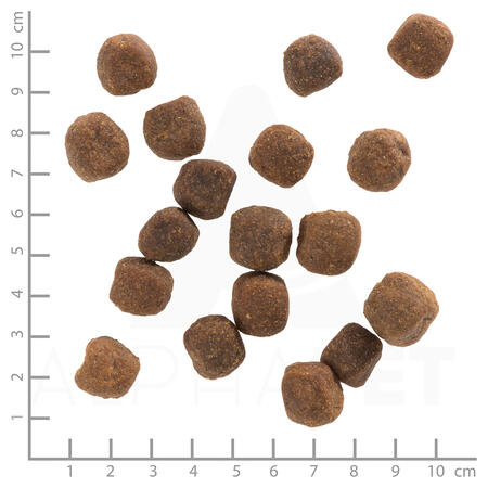 Wolfsblut Wild Duck Adult Medium - 12,5kg