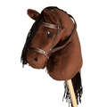 Kæphest med trense. Valentino er en sød brun kæphest fra Källquist Equestrian.